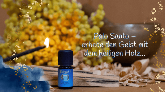 Palo-Santo-Meditation-Yoga