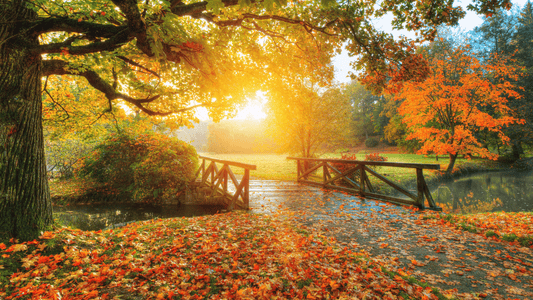aromaoele-herbst-aetherische-oele-kalte-jahreszeit