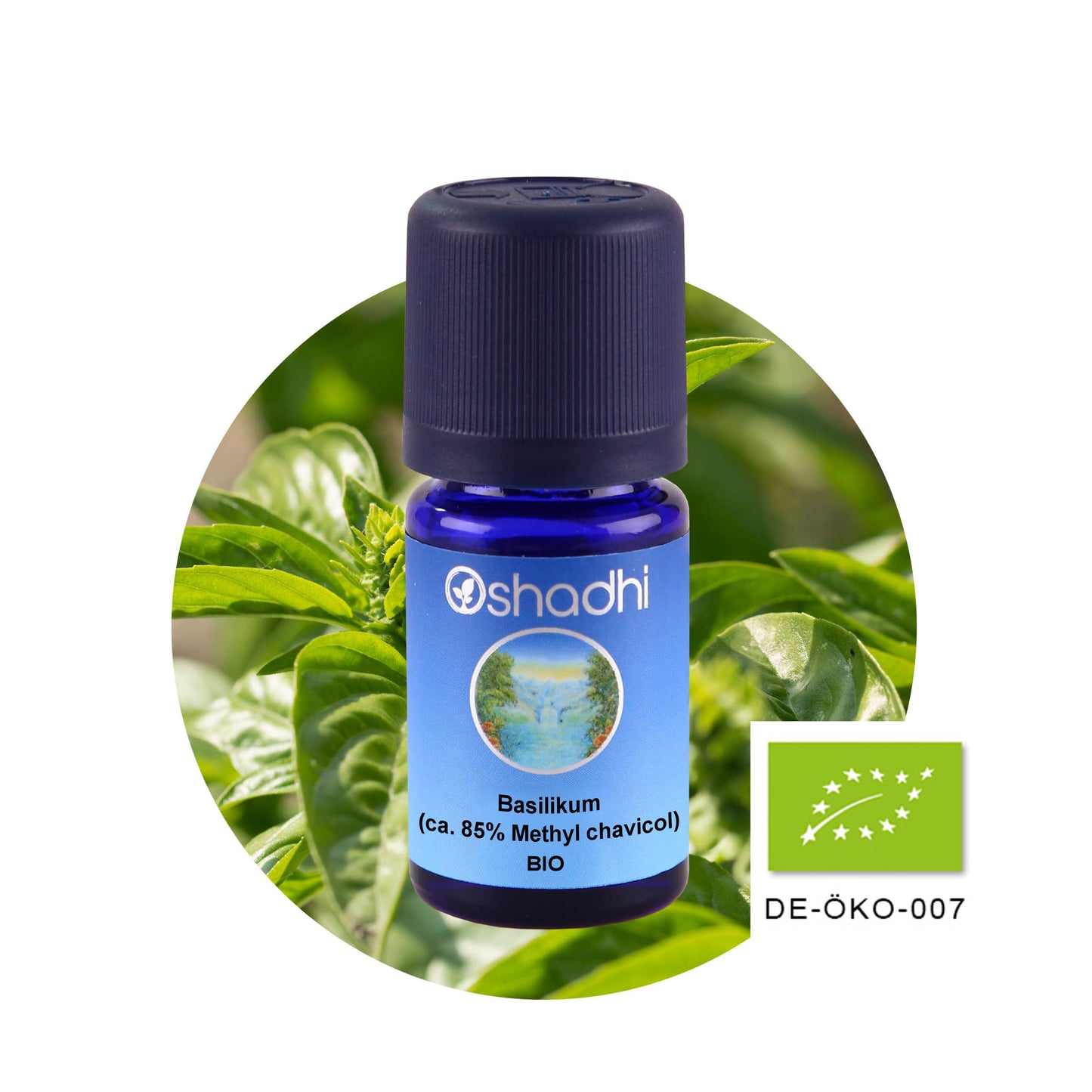 Basilikumöl (Methylchavicol) EU-bio