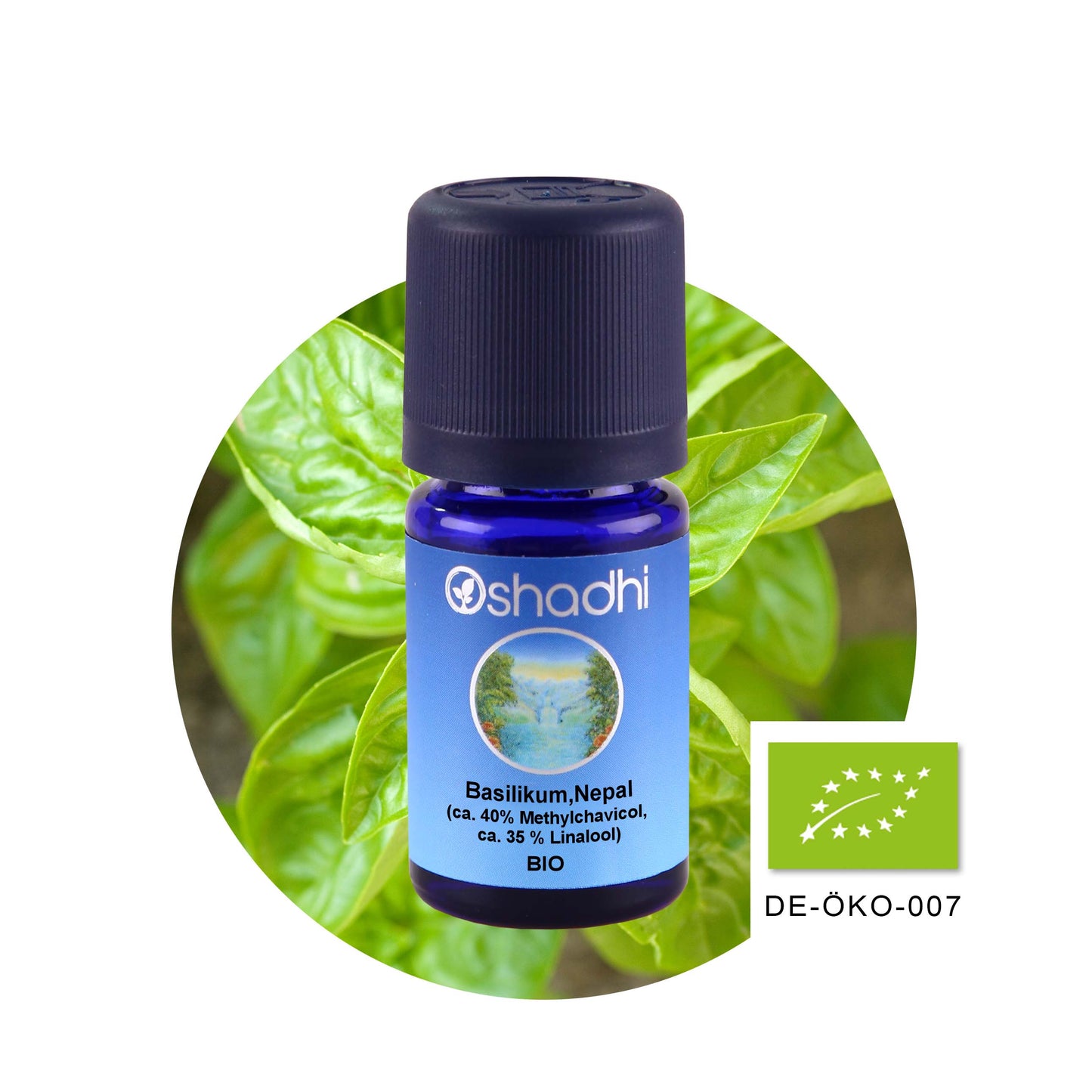 Basilikumöl, Nepal EU-bio (ca. 40% Methylchavicol, ca. 35 % Linalool)