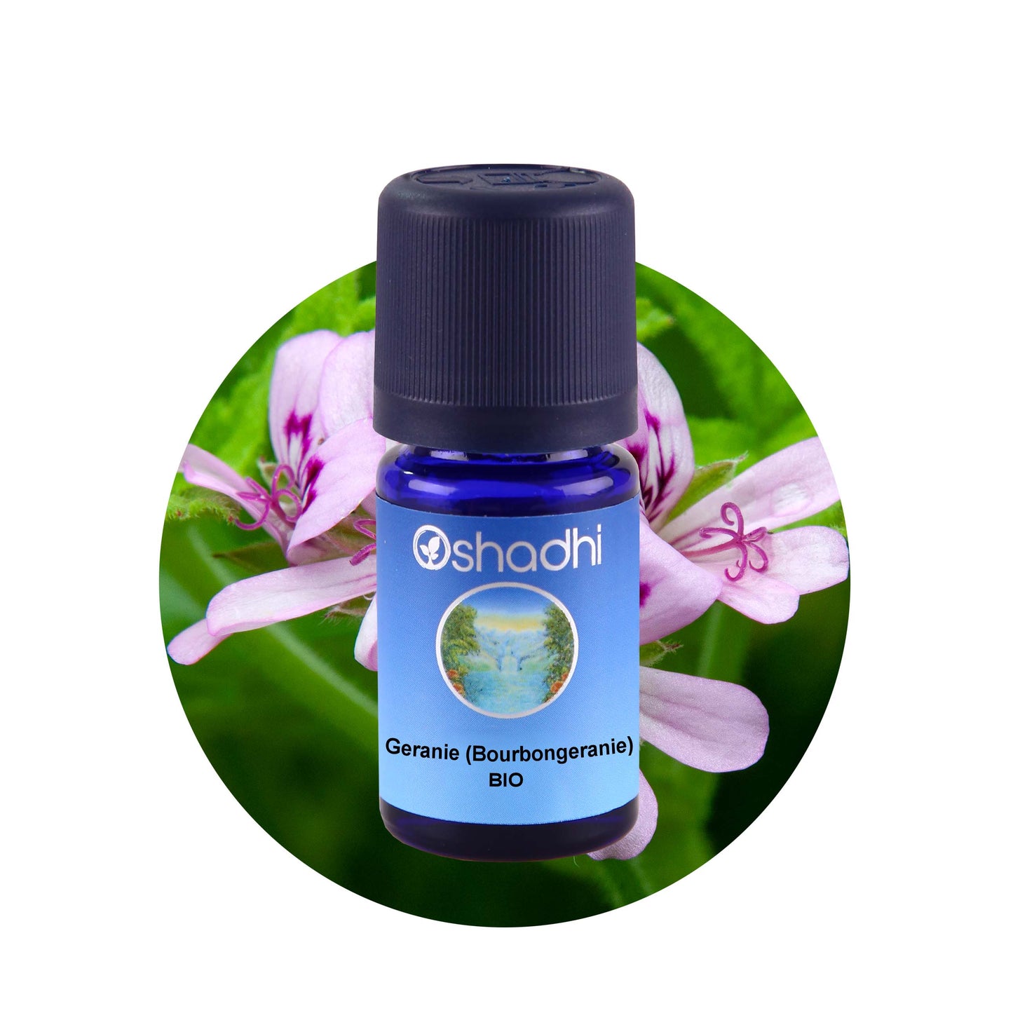 Rosengeranie (Bourbon) Bio