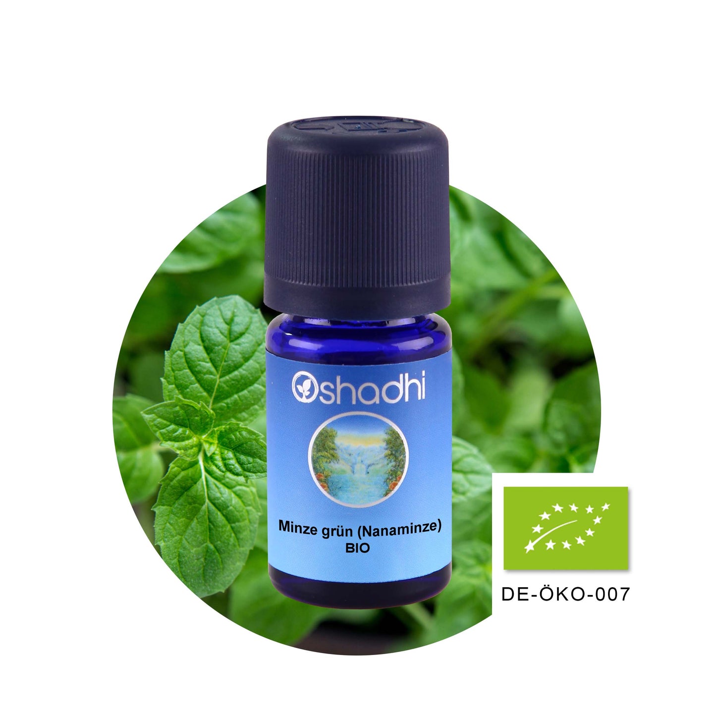 Nanaminze Öl (grüne Minze) EU-bio