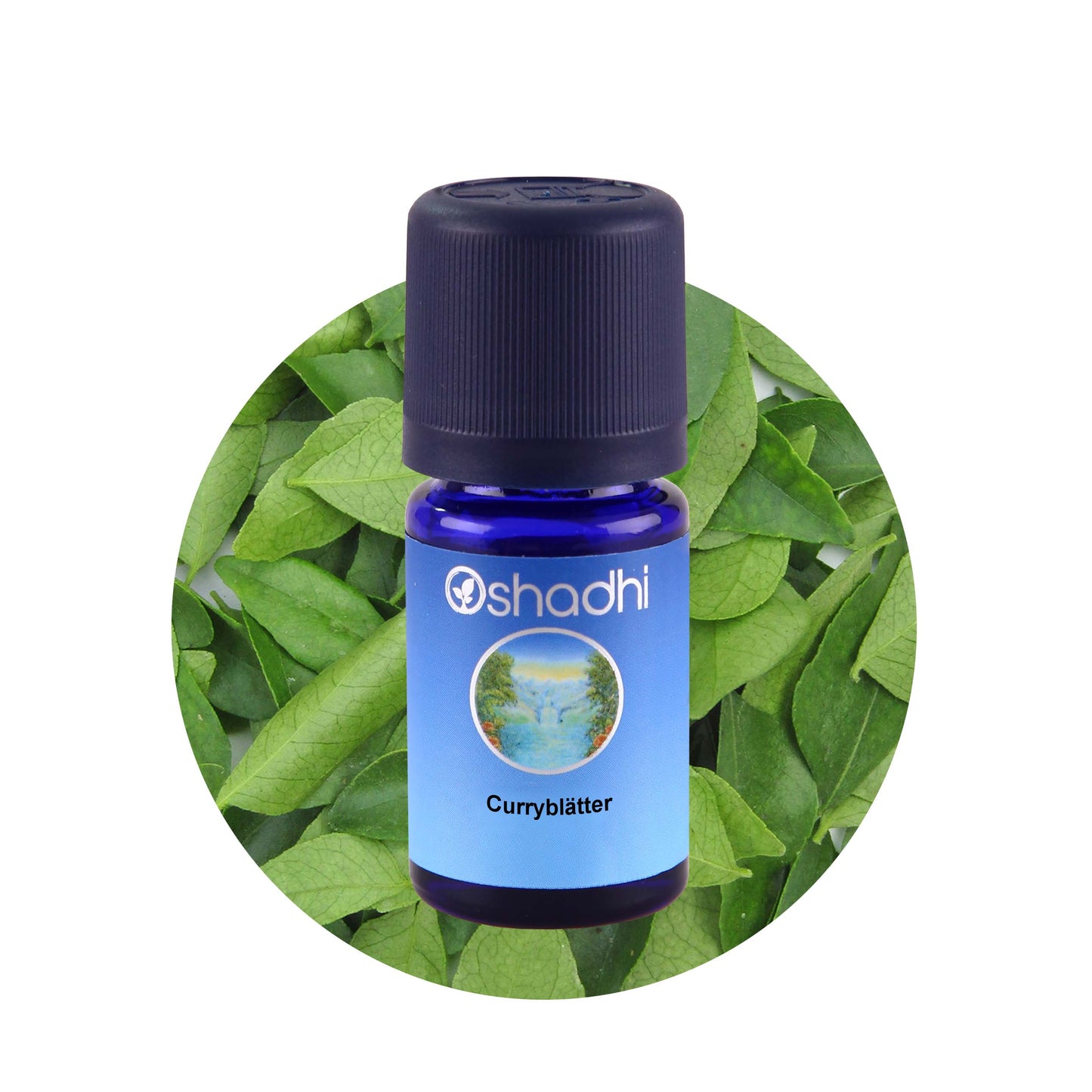 Curryblätter-Öl