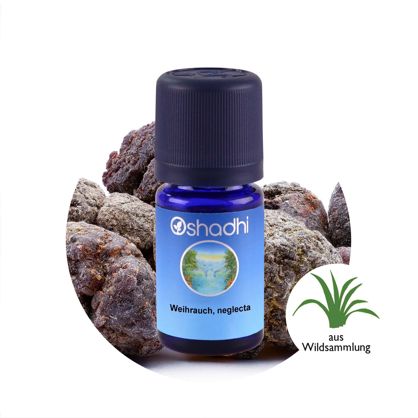 Weihrauchöl neglecta