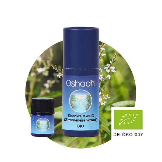 Eisenkrautöl EU-bio Zitroneneisenkraut