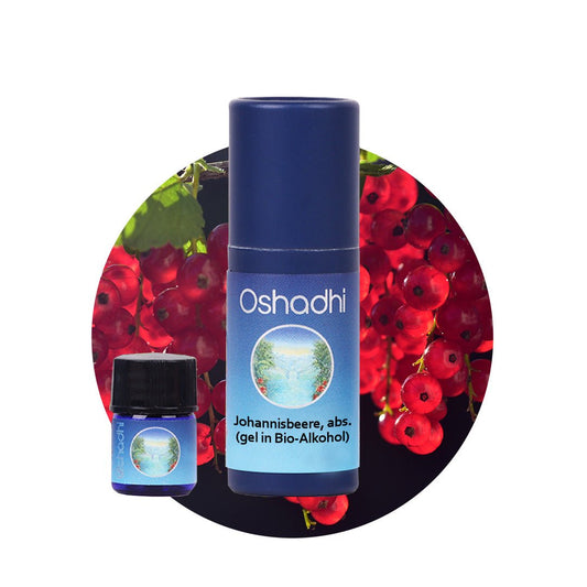 Johannisbeerenöl absolute 70% (gel. in Bio-Alkohol)
