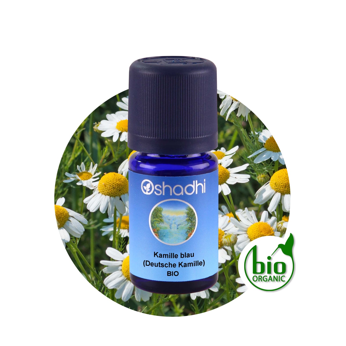 Kamillenöl blau EU-bio