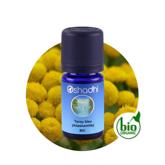Tansy blau (Atlaskamille) bio