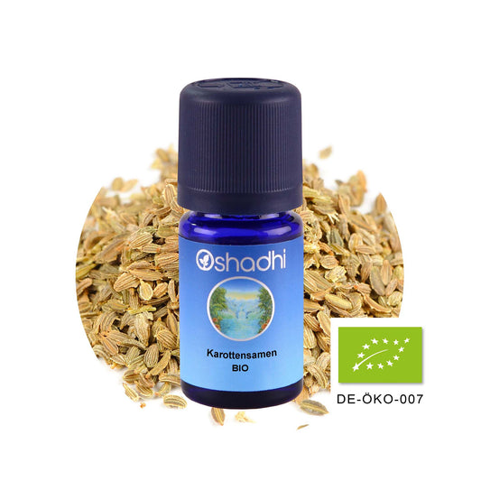 Karottensamenöl bio
