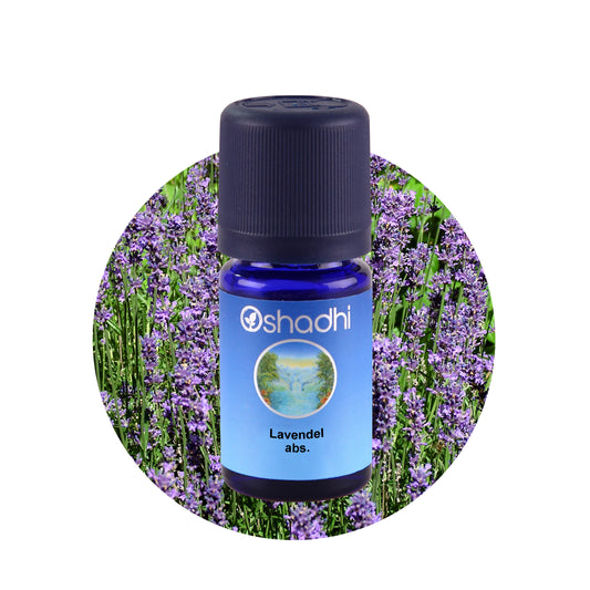Lavendel absolue