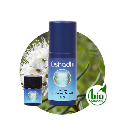 Ledum-Öl (Grönland Moos) bio