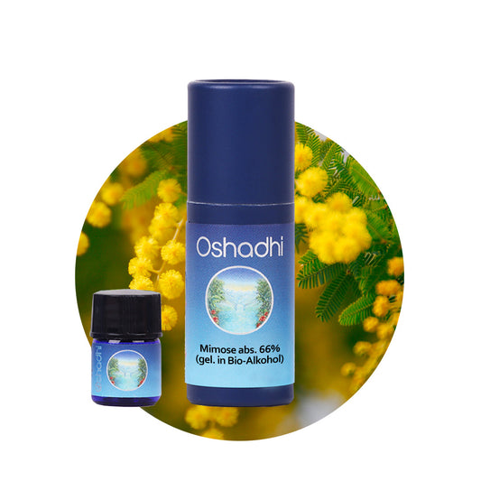 Mimosenöl absolute 66% (gel. in Bio-Alkohol)