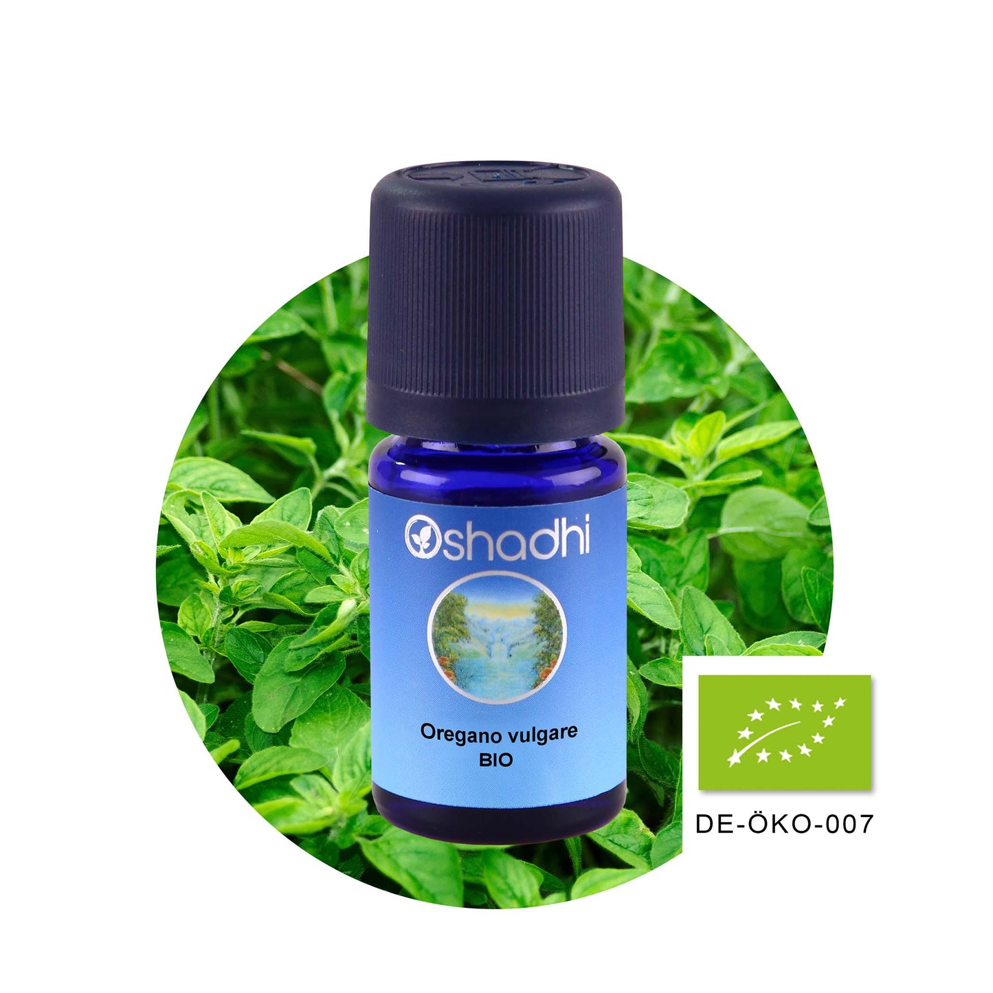 Oreganoöl vulgare EU-bio