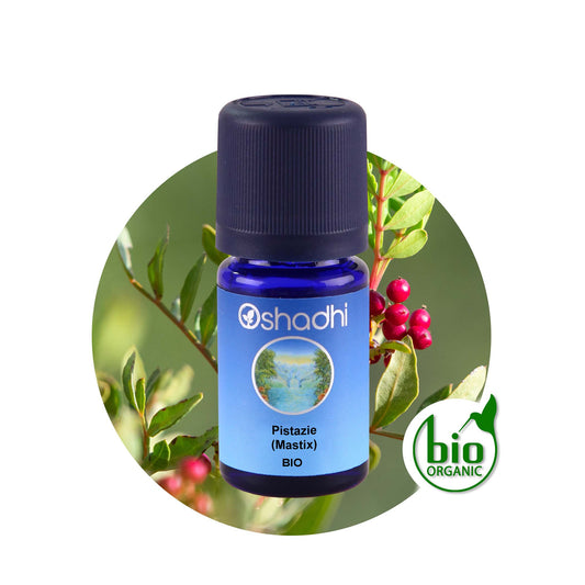 Mastix-Öl (Pistacia lentiscus) bio