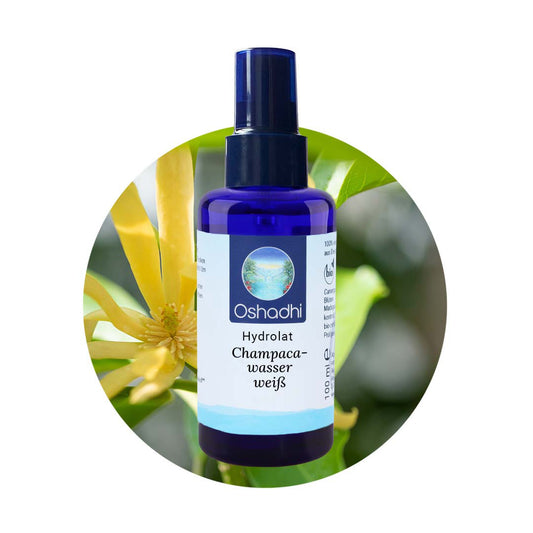 Champacawasser weiß