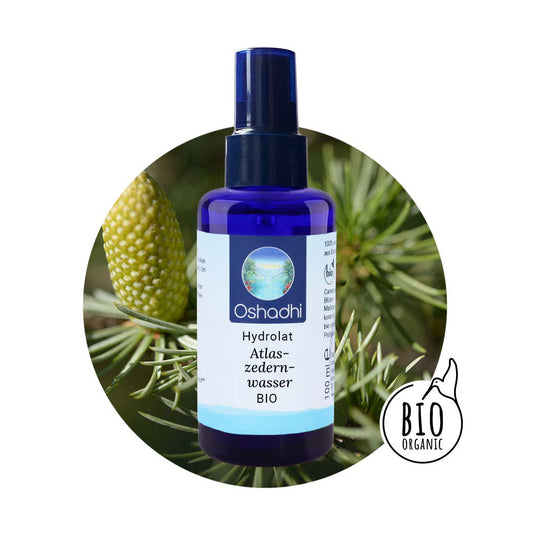 Zedernwasser (Atlaszeder) bio