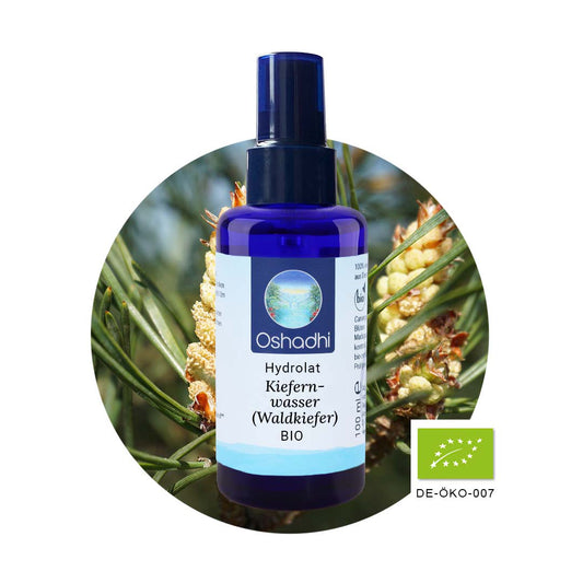 Kiefernwasser (Waldkiefer) EU-bio