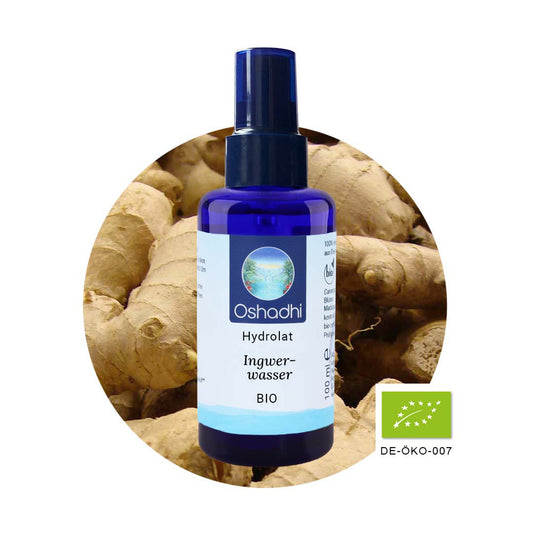 Ingwerwasser EU-bio