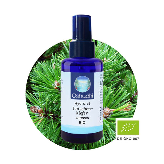 Kiefernwasser (Latschenkiefer) EU-bio