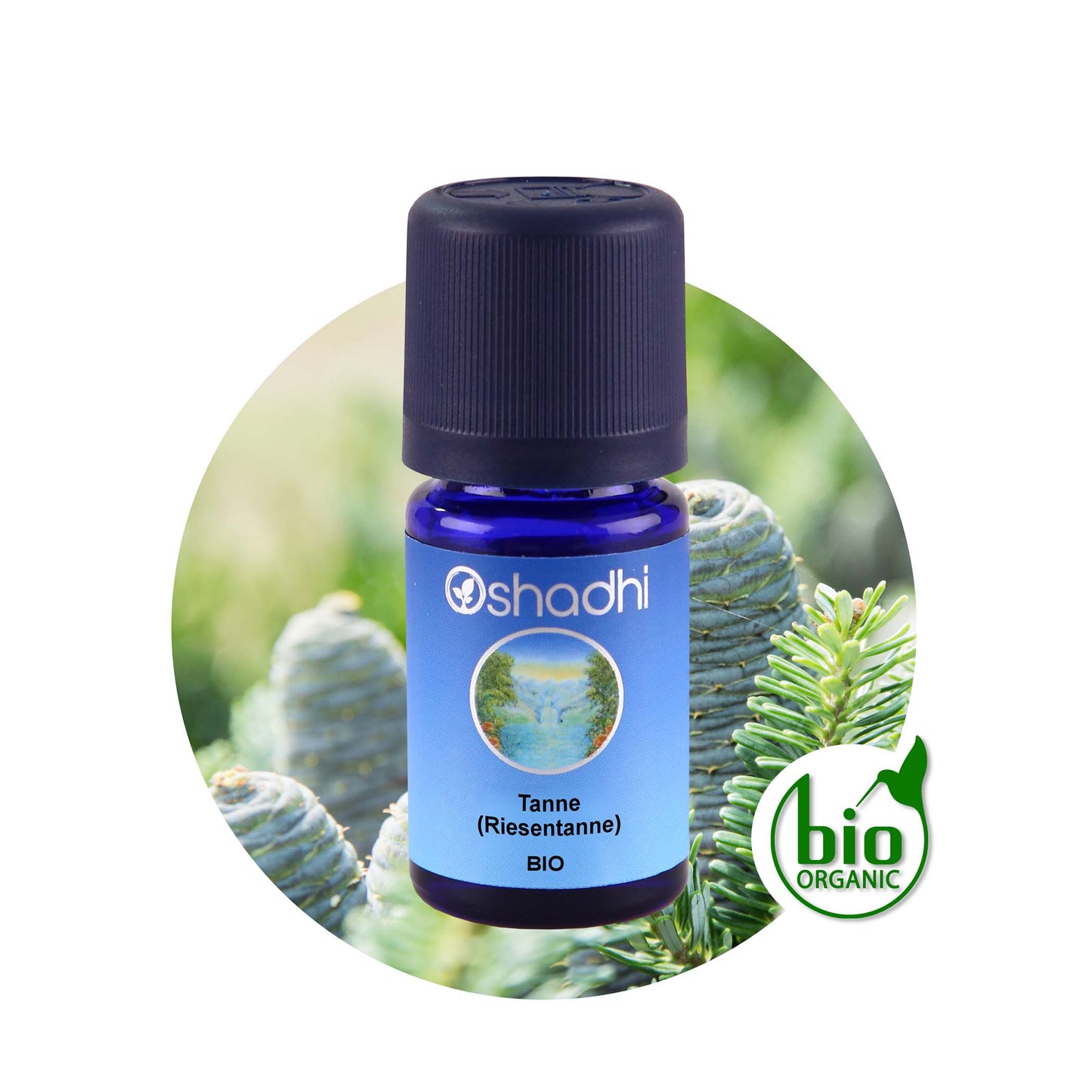 Tannenöl bio Riesentanne