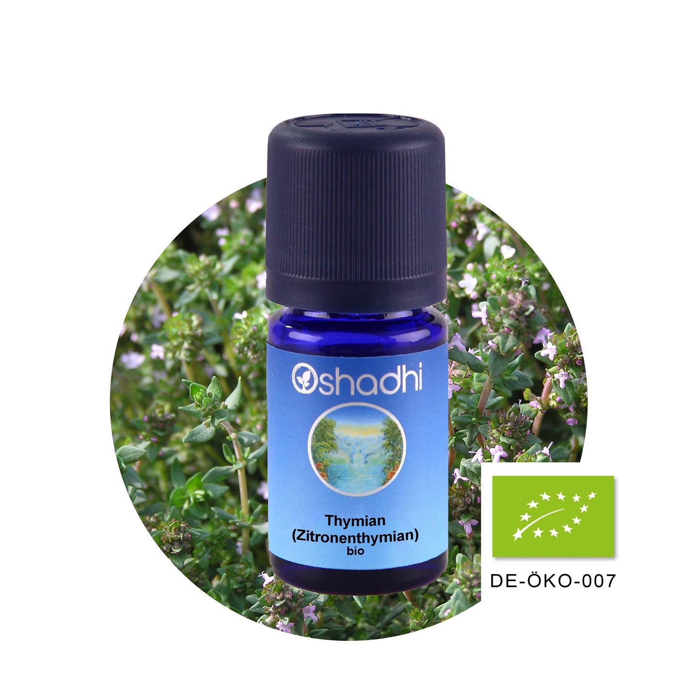 Zitronenthymianöl EU-Bio