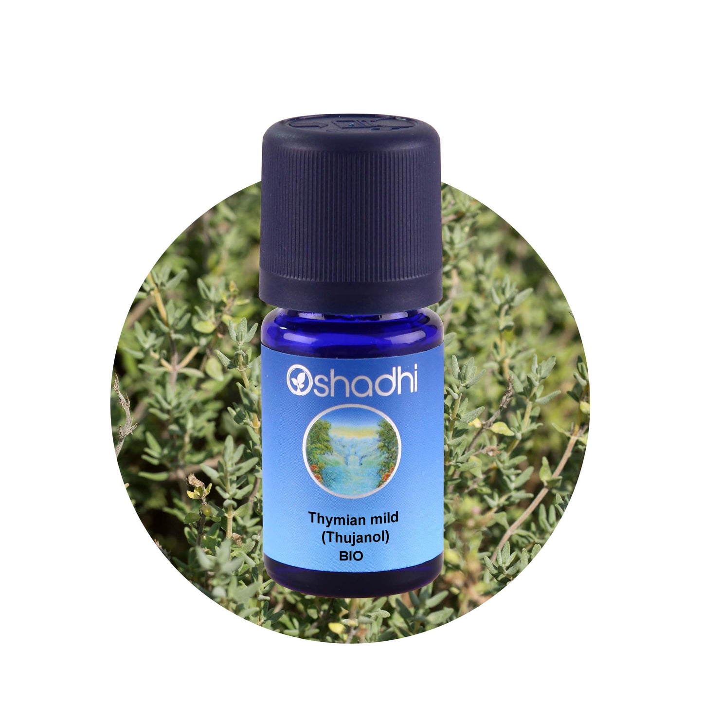 Thymianöl, mild (Thujanol) EU-bio
