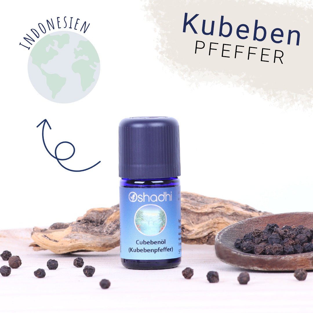 Kubeben Pfeffer-Öl