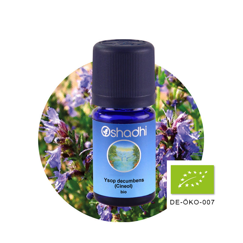 Ysopöl decumbens EU-bio (Cineol)