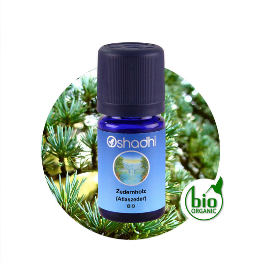Zedernholzöl bio (Atlaszeder)