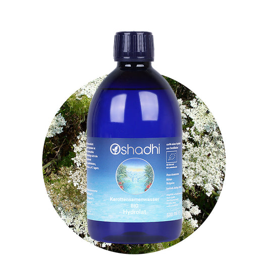Karottensamenwasser EU-bio