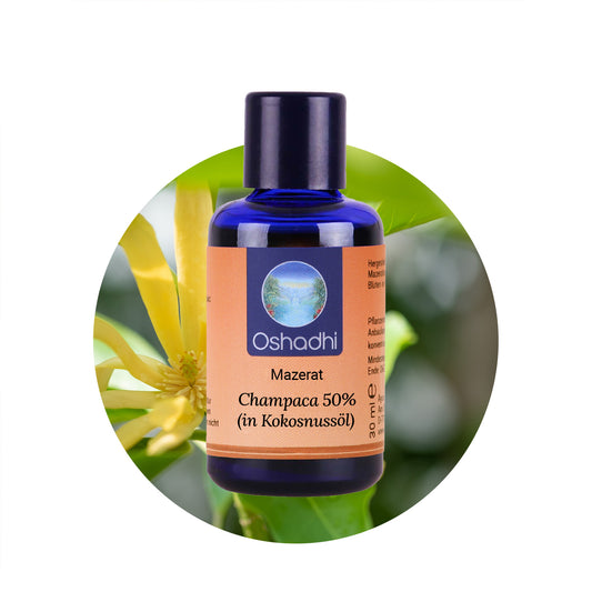 Champaca (in Kokosnussöl)