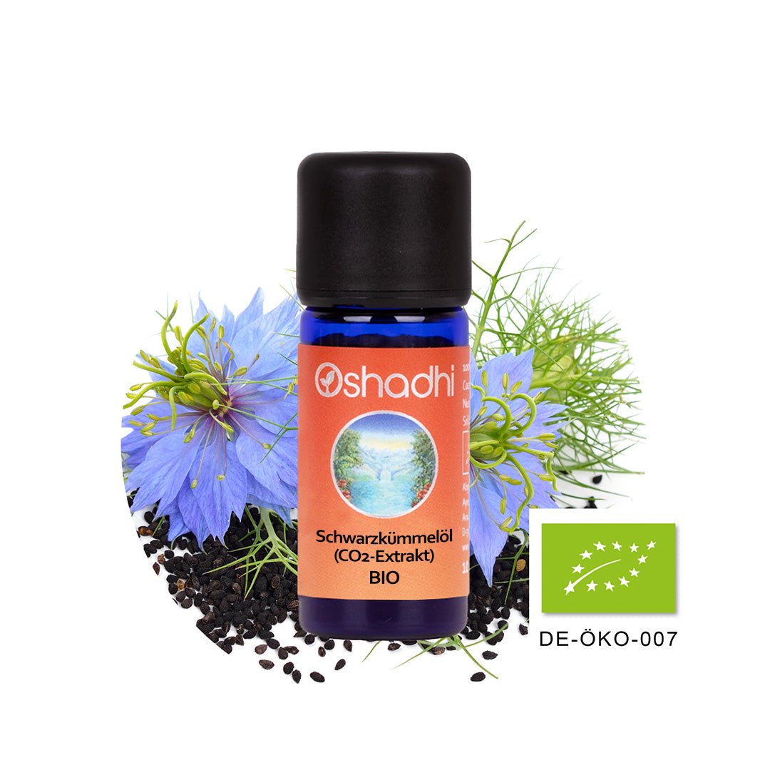 Kümmel (Schwarzkümmel Nigella) CO2, EU-bio