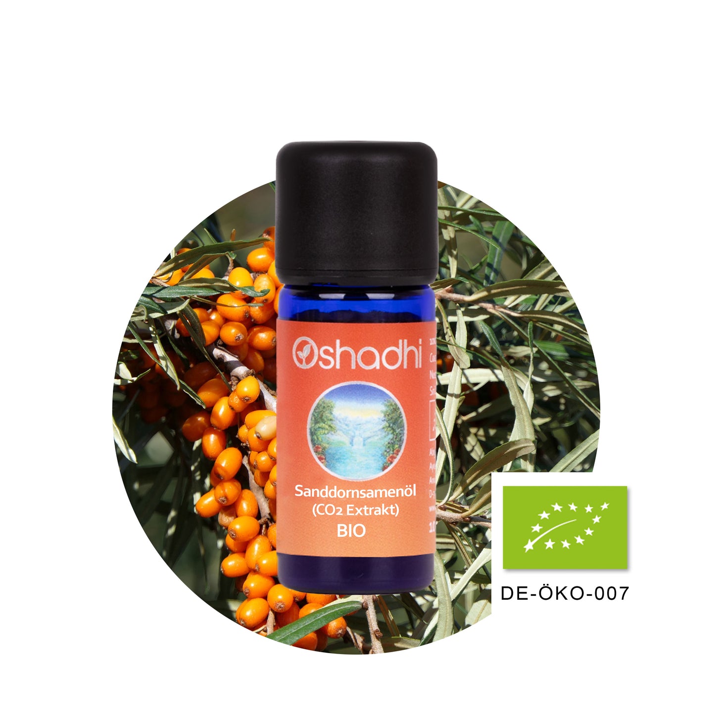 Sanddornsamenöl (CO2-Extrakt) EU-bio