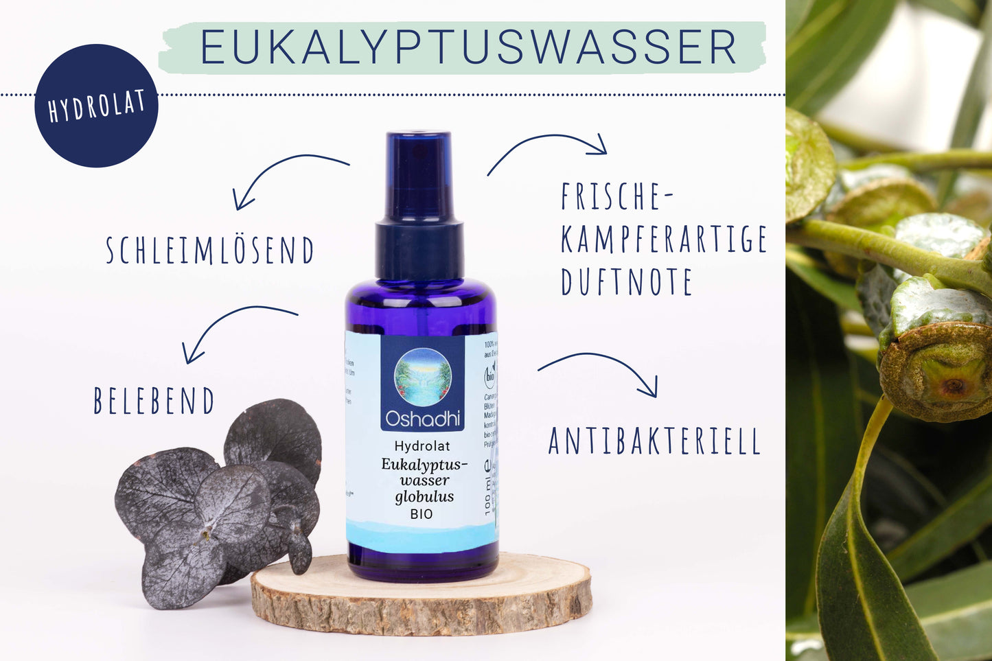 Eukalyptuswasser Globulus EU-bio
