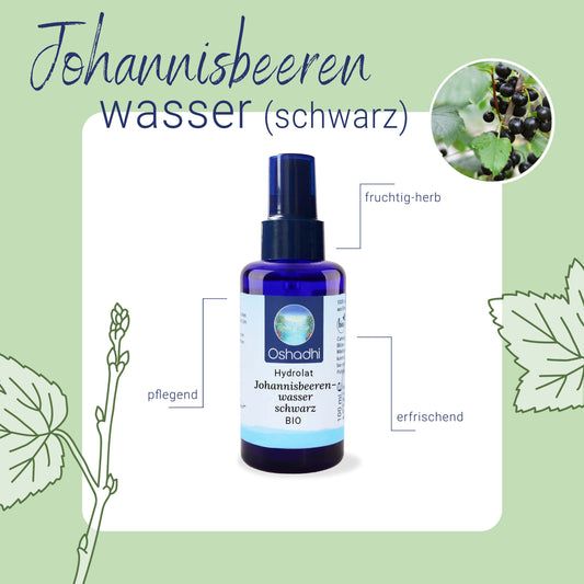 Johannisbeerenwasser schwarz EU-bio