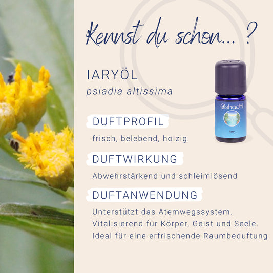 Iary Öl
