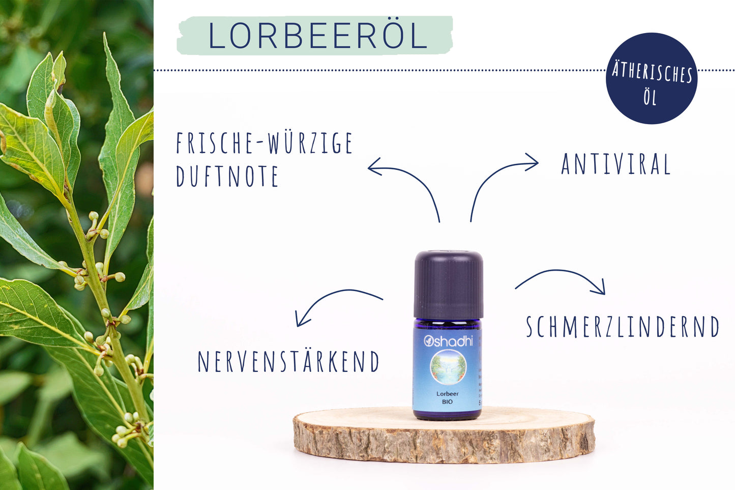 Lorbeeröl EU-bio