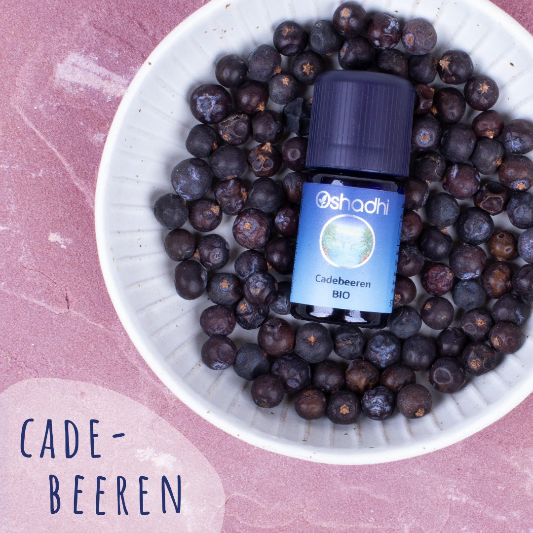 Cadebeeren-Öl EU-bio