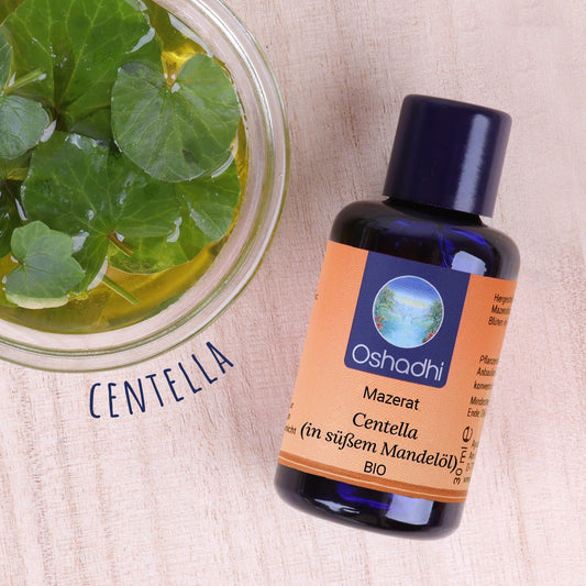 Centella-Mazerat 10% (in süßem Mandelöl) EU-bio