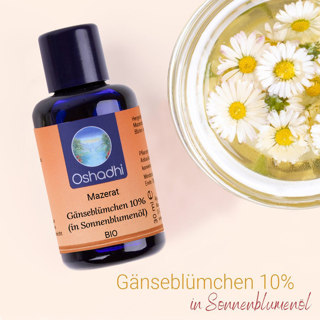 Gänseblümchen-Mazerat 10% (in Sonnenblumenöl) EU-bio