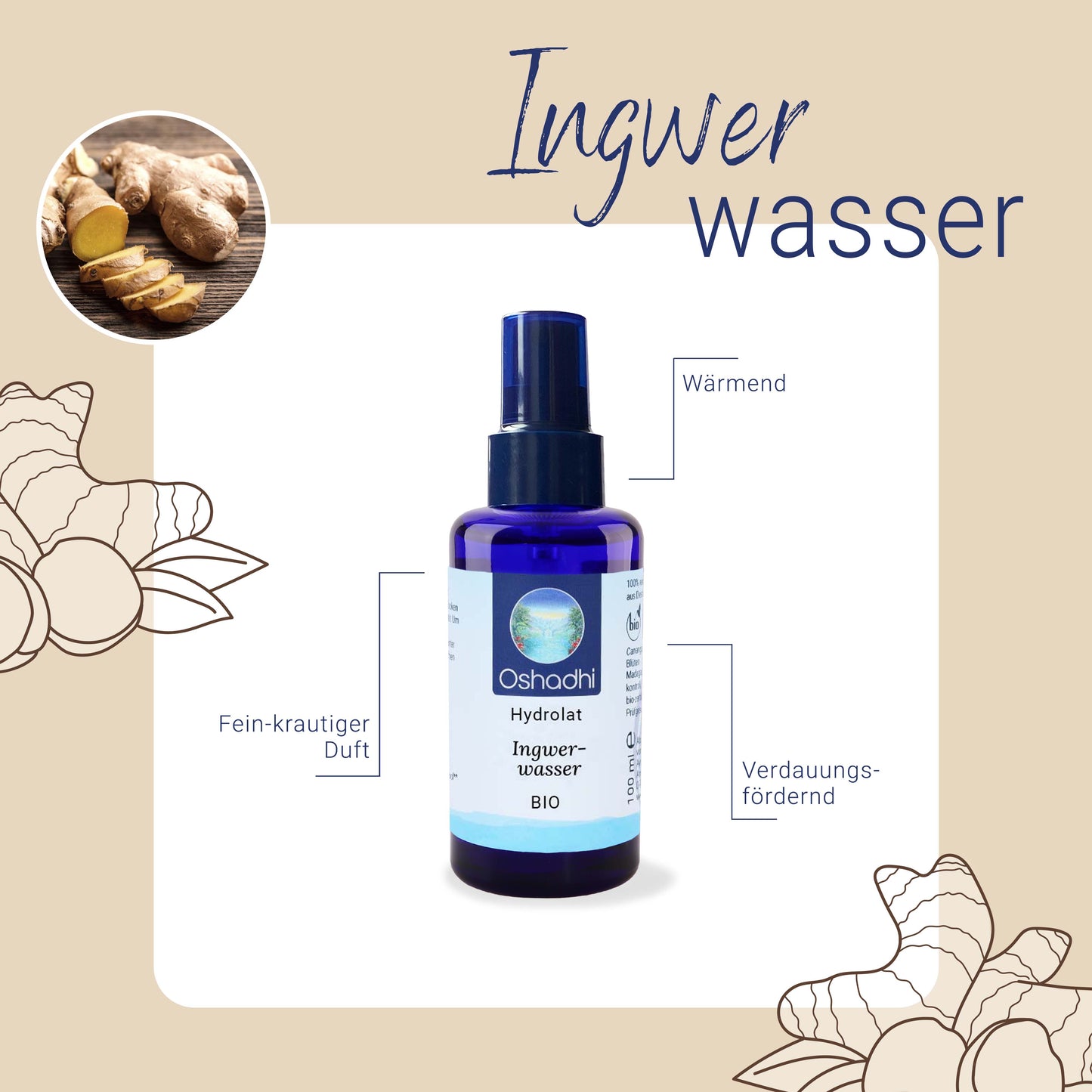 Ingwerwasser EU-bio