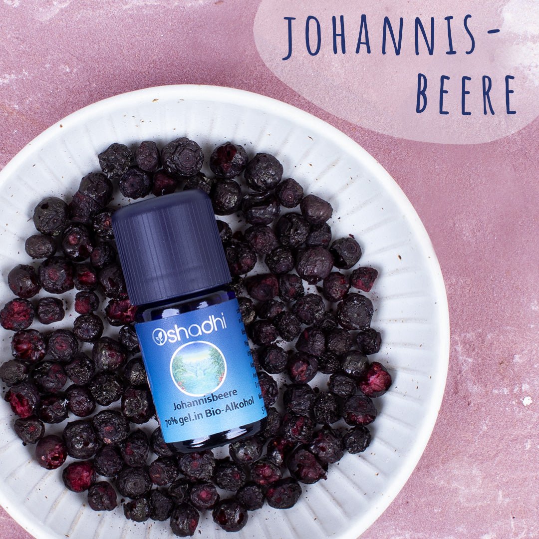 Johannisbeerenöl absolute 70% (gel. in Bio-Alkohol)