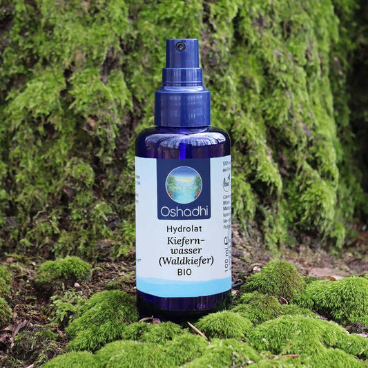 Kiefernwasser (Waldkiefer) EU-bio