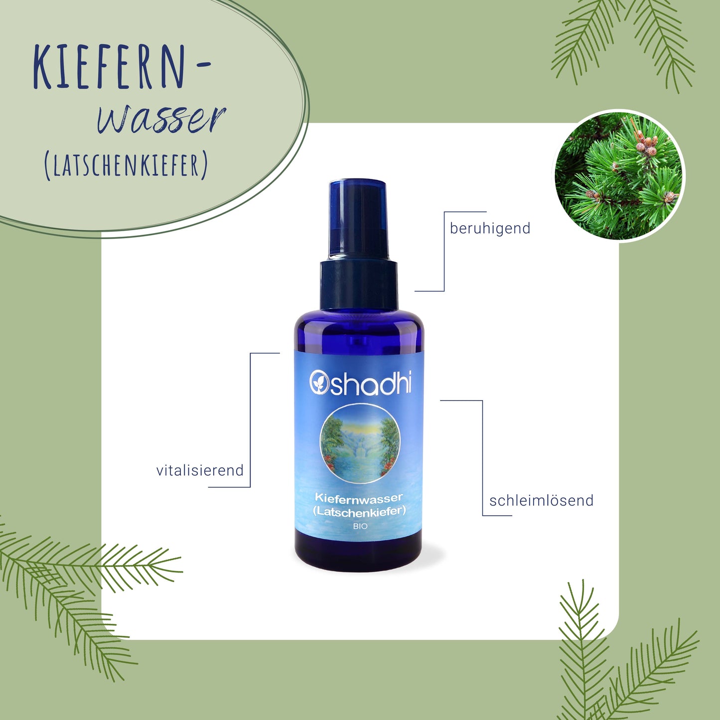 Kiefernwasser (Latschenkiefer) EU-bio