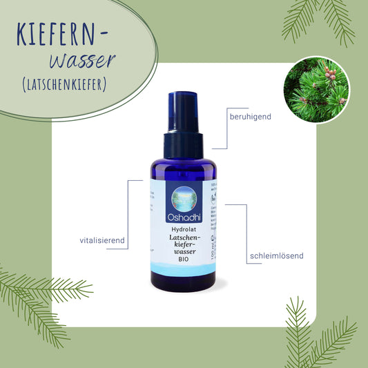 Kiefernwasser (Latschenkiefer) EU-bio