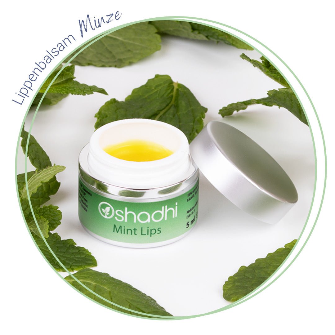 Lippen-Balsam Minze Bio
