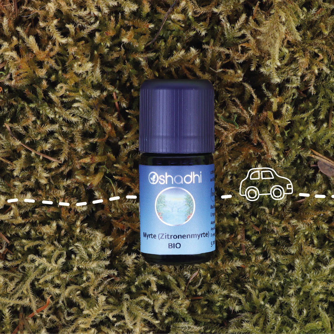 Zitronemyrtenöl (Backhousia citriodora) bio