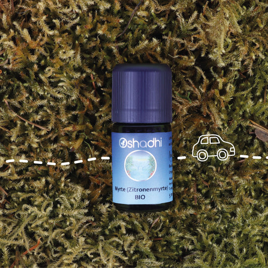 Zitronemyrtenöl (Backhousia citriodora) bio