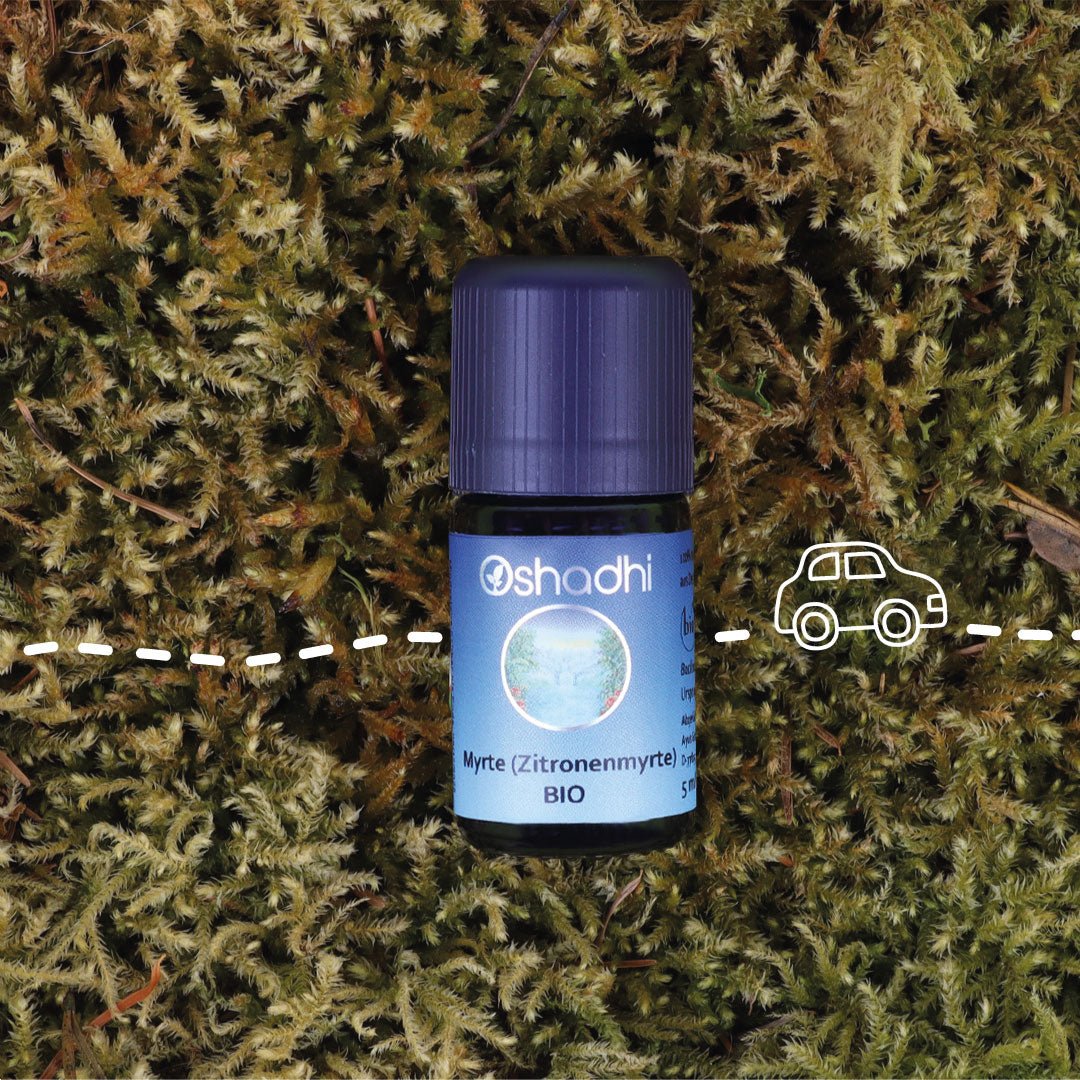 Zitronemyrtenöl (Backhousia citriodora) bio
