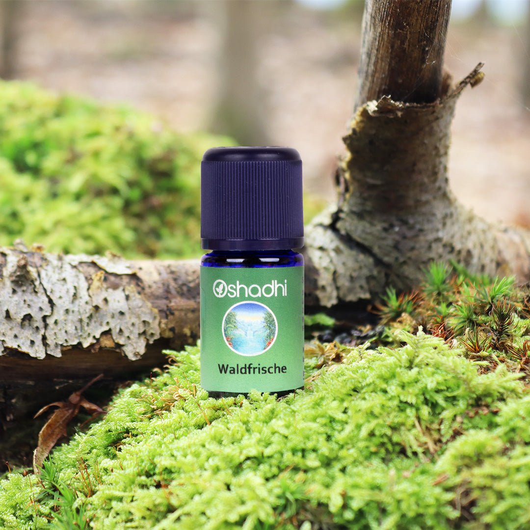 Waldfrische Duftöl